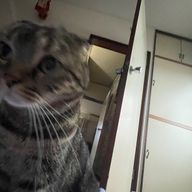 rukaさんのアイコン画像