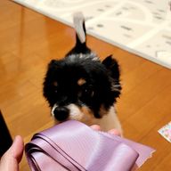 まるこさんのアイコン画像