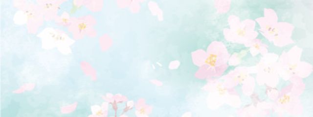 Sakura❀·°　　　　　〜サヴ垢〜さんの壁紙画像