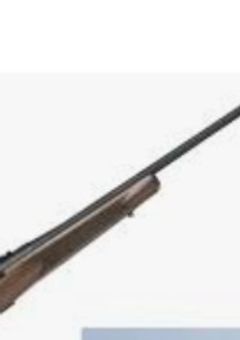 アニマルハンターに恋をしたアニマル達【参加型】【〆】