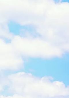 八 月 、 " 僕 ら " は 消 え た 。