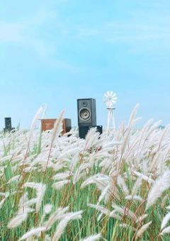 溺愛されすぎて困ってます。