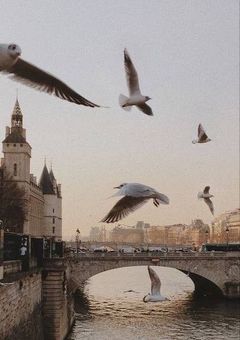 ほ す と く ら ぶ ． 