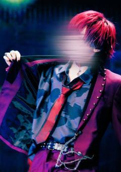 握手会に行ったら何故か推しと付き合い、溺愛されてます