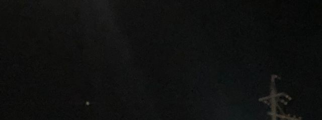 ｻｸﾗ　(低浮さんの壁紙画像