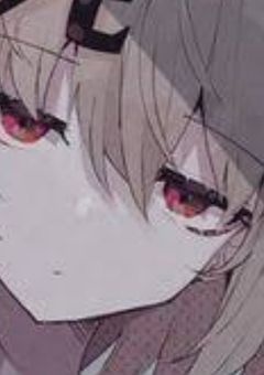 るねせんよー