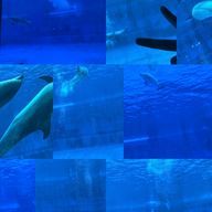 Rさんのアイコン画像