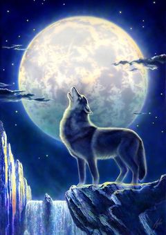 オリキャラ達の雑談部屋 改