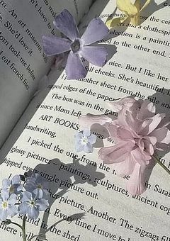 図書室の常連さん【なおきり】