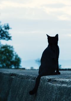 そして私は今日も引き金を引く
