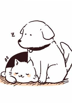 わんこ と にゃんこ 。