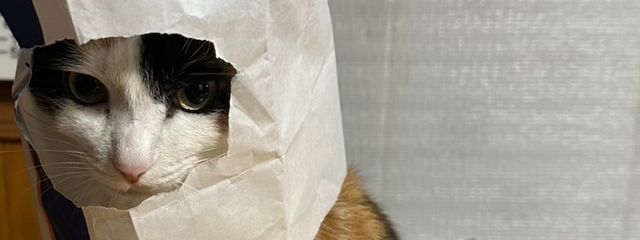 🪦墓楽華　那乃　(ﾊｶﾗｶ　ﾅﾉ)🪦さんの壁紙画像