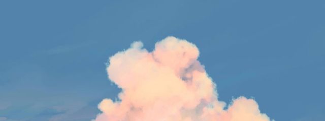 ２１７さんの壁紙画像