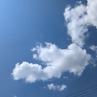 レモン🍋 .*゜さんのアイコン画像