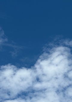 　きみたちが だいすき です