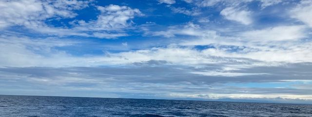氷砂糖さんの壁紙画像