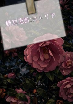 《🅿️創作》観測施設:camellia