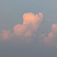 雫。さんのアイコン画像