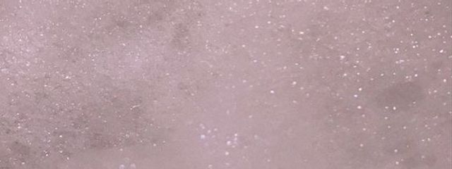 　　　　さぶぼさんの壁紙画像