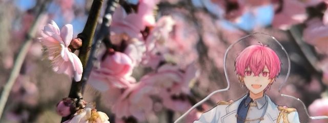 ゆゆさんの壁紙画像