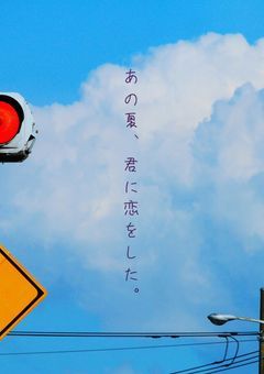 あの夏、君に恋をした。