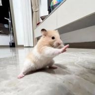 しょぼん#鍵のかかった絆 💫⚡💛🎗️さんのアイコン画像