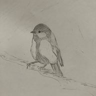 なるなるさんのアイコン画像