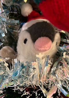 クリぼっち集合ｰｰｰｰｰｰｰｰｰｰｰｰｰｰｰｰｰｰｰｰｰ私は、ペンギンと一緒に🐧