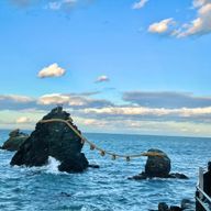 HIYOKO🐣さんのアイコン画像