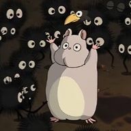 ayuayuさんのアイコン画像