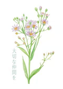 大切な仲間を＿