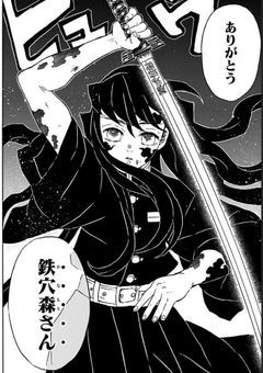 鬼滅の刃の最強ちゃん【更新停止】