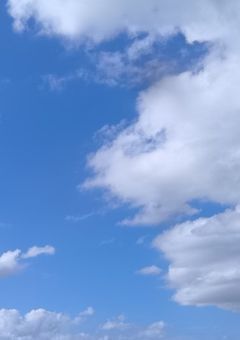 FA、イラコンなどの部屋〜〜！