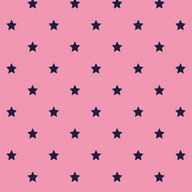 しおさんのアイコン画像