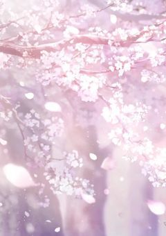 王国の姫と王子  第2章