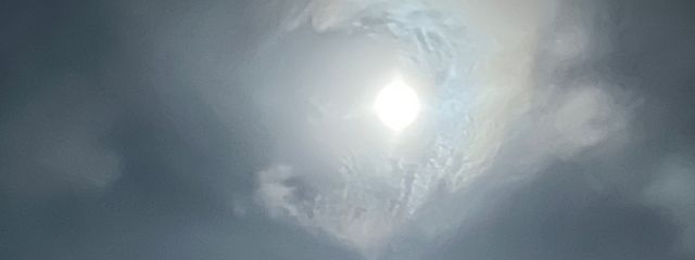 猫はにゃーさんの壁紙画像