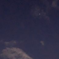 猫はにゃーさんのアイコン画像
