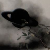 #　࿔.⋆ ま ろ ⋆.࿔　／　さ ぶ　. さんのアイコン画像
