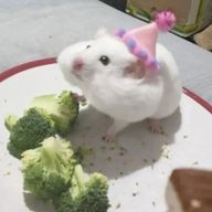 @ゆう #もう投稿だるい人ですぅ（さんのアイコン画像