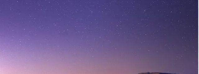 ゆゆ🐾💭🌙さんの壁紙画像