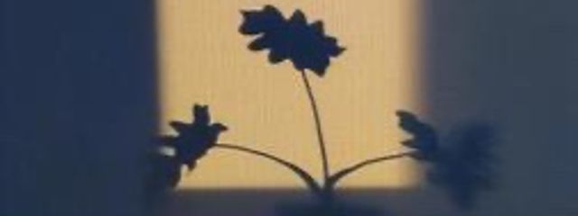 おいなりさんの壁紙画像