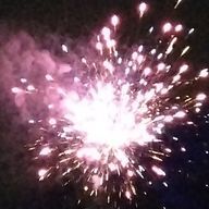 しぐささんのアイコン画像