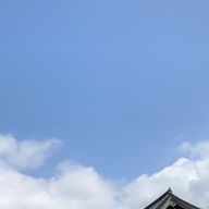 こめぬかさんさんのアイコン画像