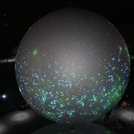 シンアさんのアイコン画像