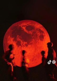 真紅の月、七人の吸血鬼