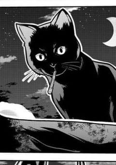 吾輩は猫に成る