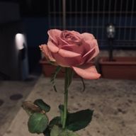 とーふさんのアイコン画像