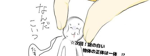 とらさんの壁紙画像