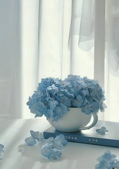 ᵗᵃᵍ🏷𓈒𓏸︎︎︎︎