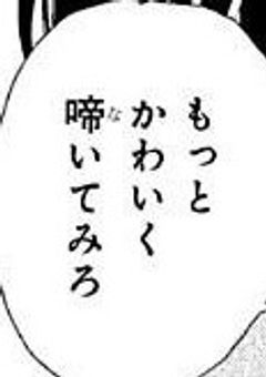 えっちな配信始めます